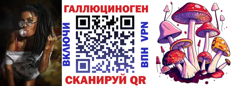 Псилоцибиновые грибы мухоморы  omg tor  Новороссийск 