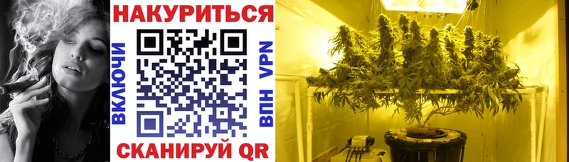 МАРИХУАНА марихуана  Новороссийск 
